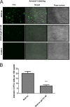 FIG 4