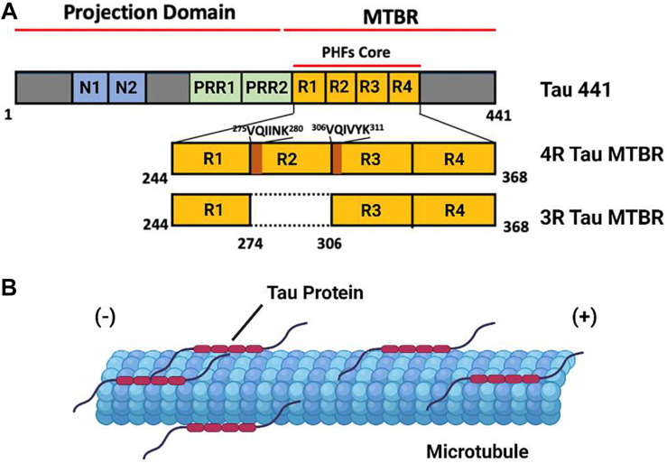 FIGURE 1