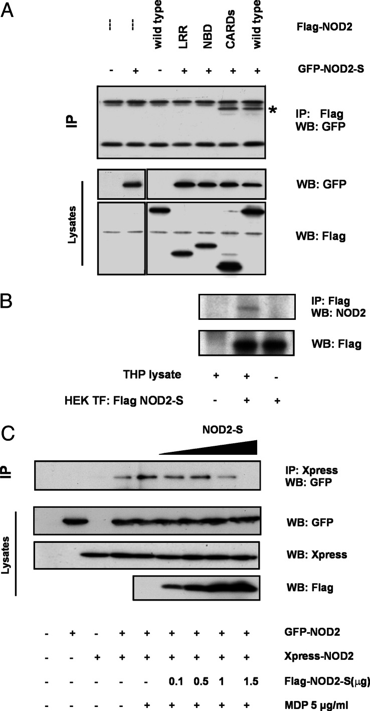 Fig. 5.