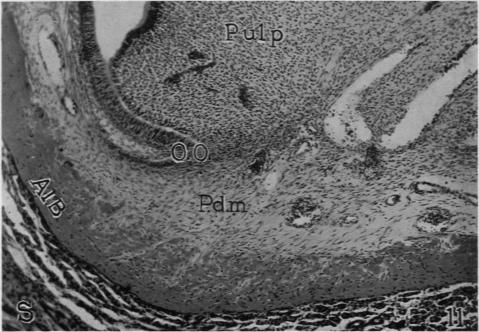 Fig. 11