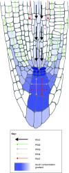 Figure 7