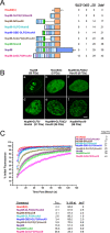 FIGURE 2: