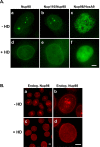 FIGURE 5: