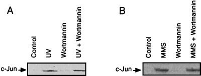 FIG. 5