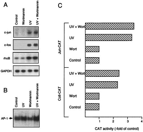 FIG. 6