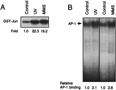 FIG. 1