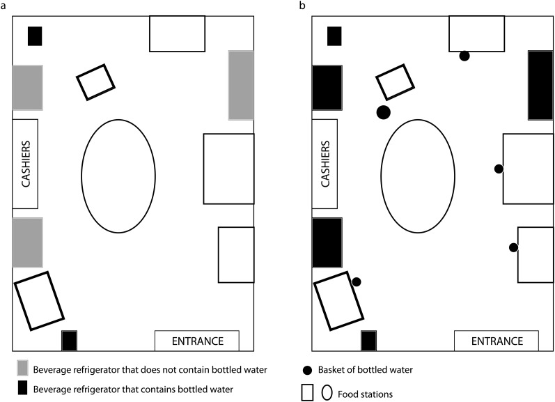 FIGURE 1—