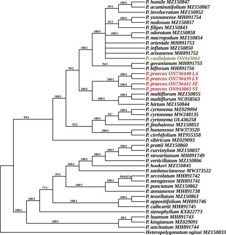 Figure 3.