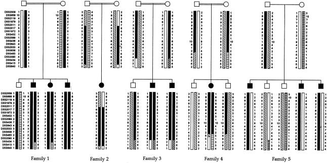 Figure  1