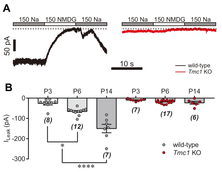 Figure 8—figure supplement 1.