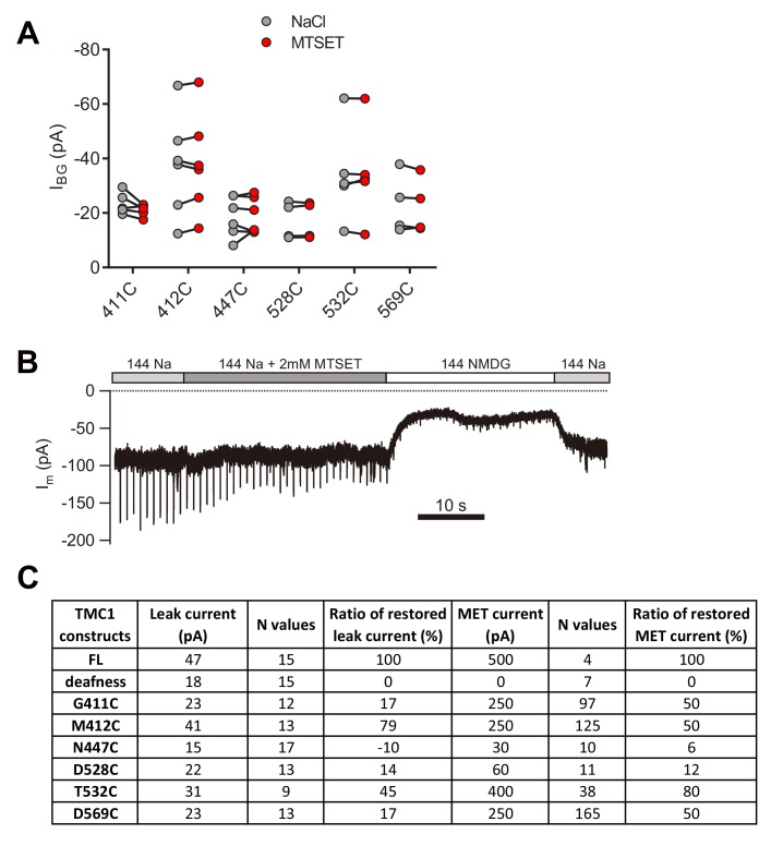 Figure 4—figure supplement 1.