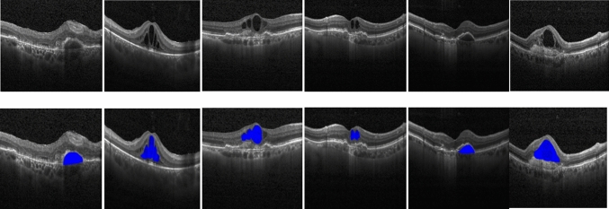 Fig. 9