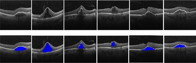 Fig. 8