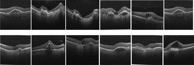 Fig. 7