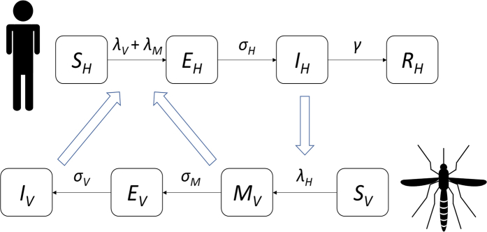 Supplementary Figure S1