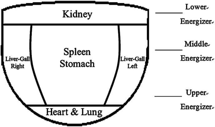 Fig. 5