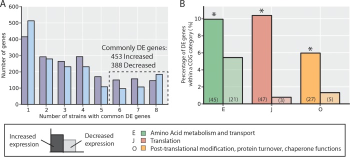 FIG 6