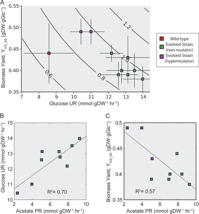 FIG 2