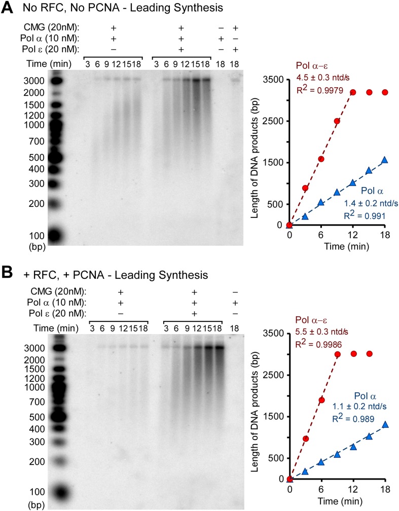 Figure 4—figure supplement 2.