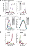 Figure 4—figure supplement 1.