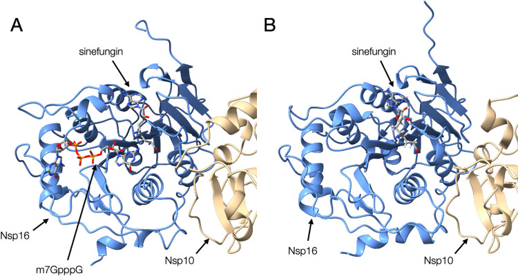 Figure 3 