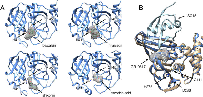 Figure 2 