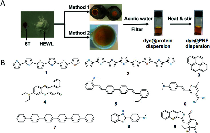 Fig. 11