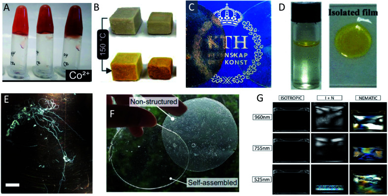 Fig. 14