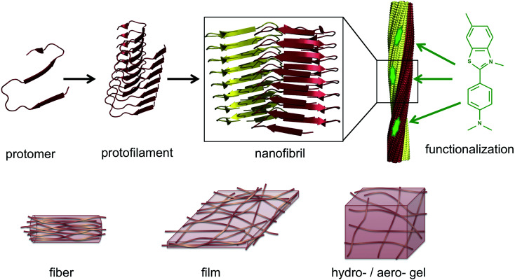 Fig. 1