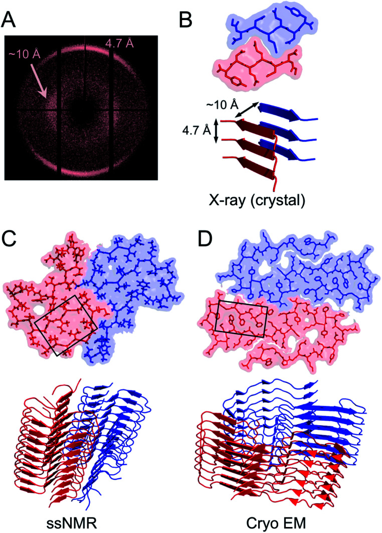 Fig. 3