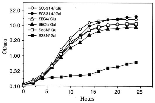 FIG. 4