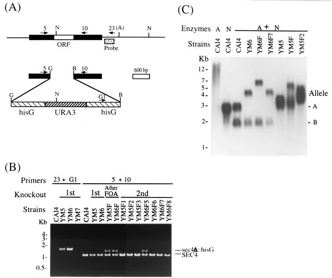 FIG. 3