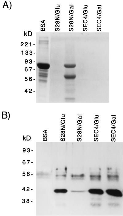 FIG. 5