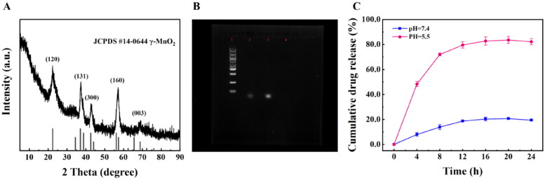 Figure 5.