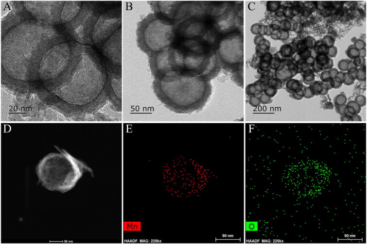 Figure 2.