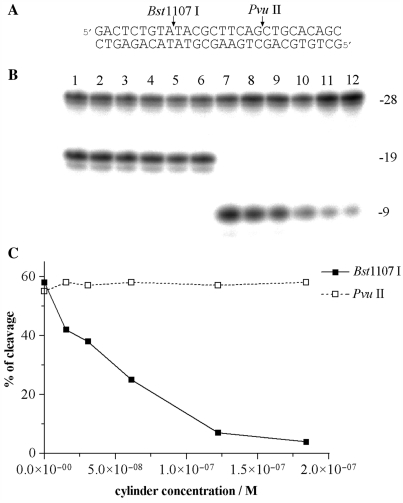 Figure 6.