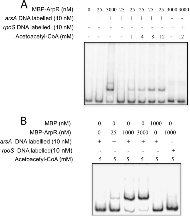 Fig 8