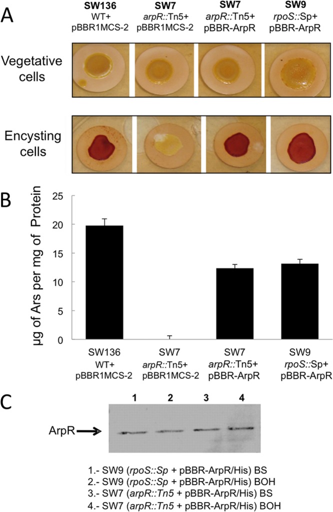 Fig 6