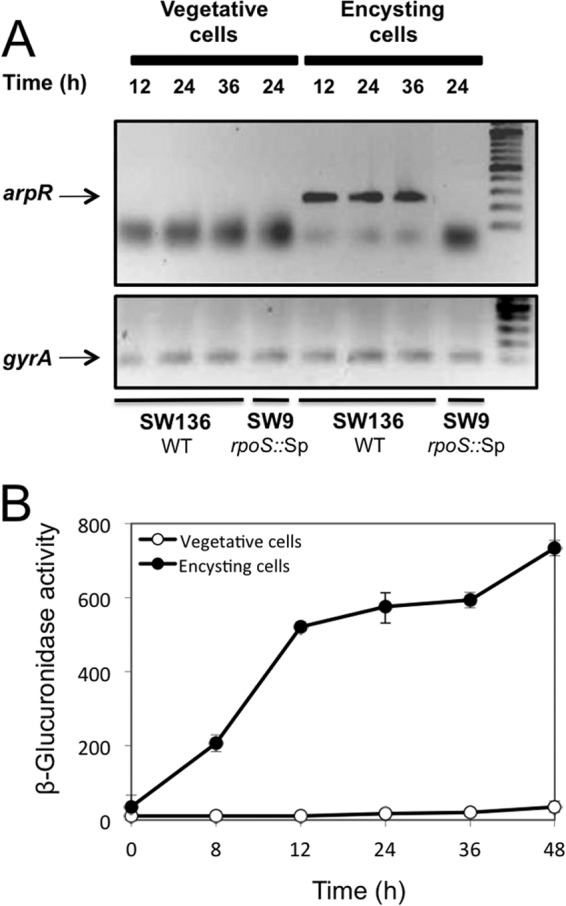 Fig 7