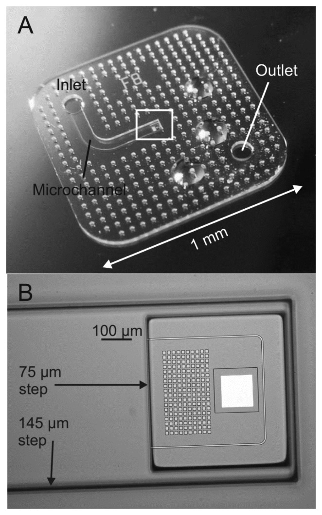 Figure 3.