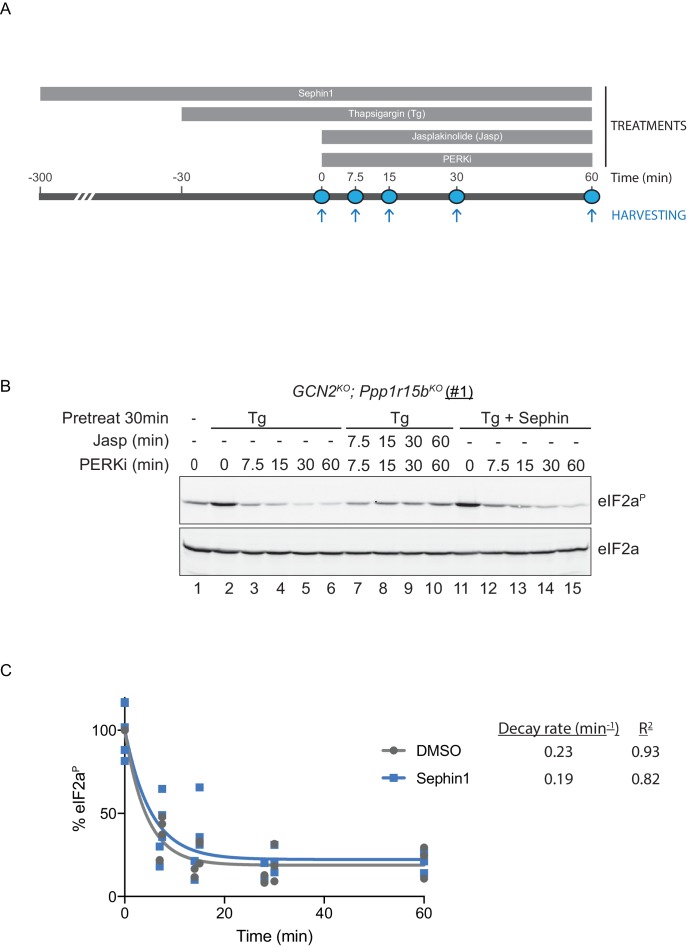 Figure 10.