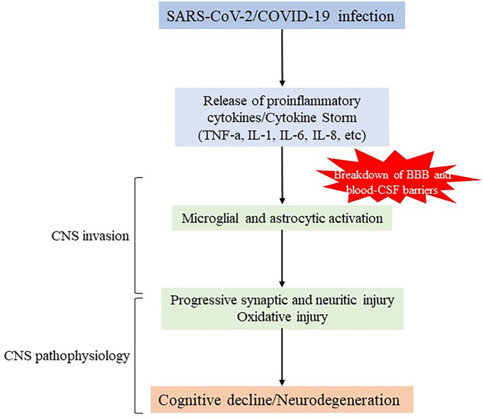 Figure 1