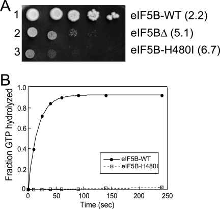 FIG. 1.