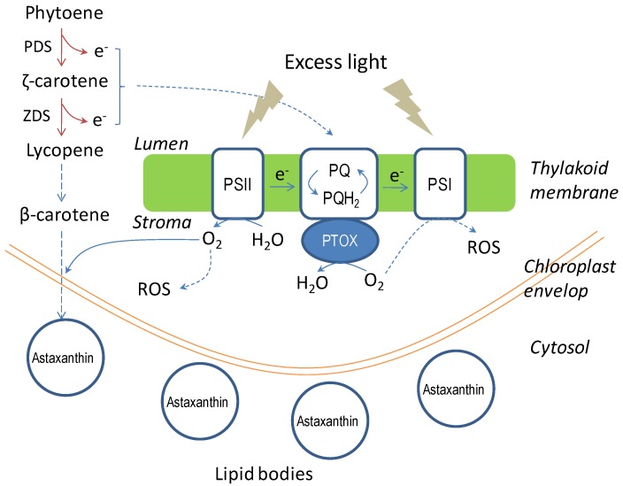 Figure 9