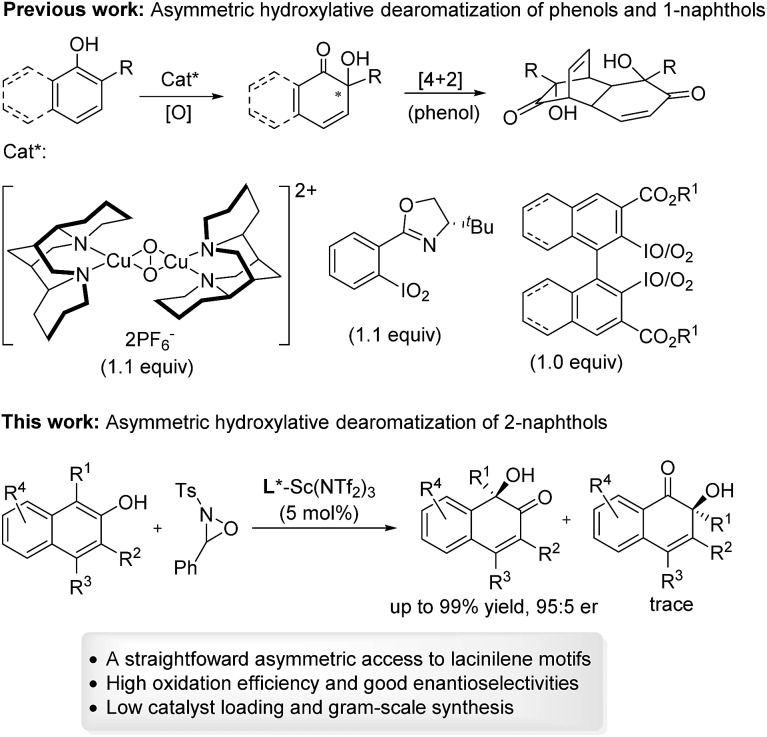 Scheme 1