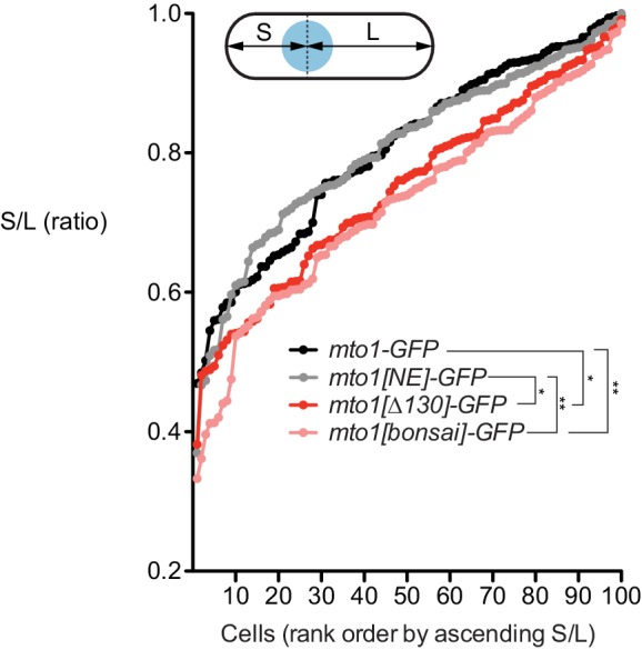 Figure 1—figure supplement 1.