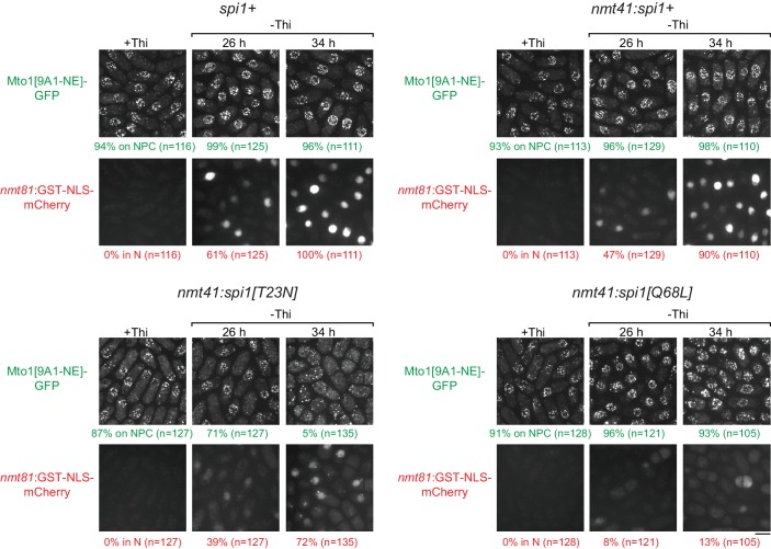 Figure 5—figure supplement 2.