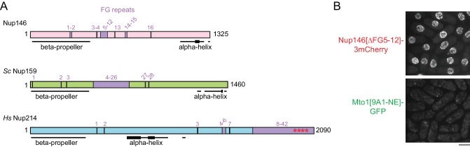 Figure 6—figure supplement 1.