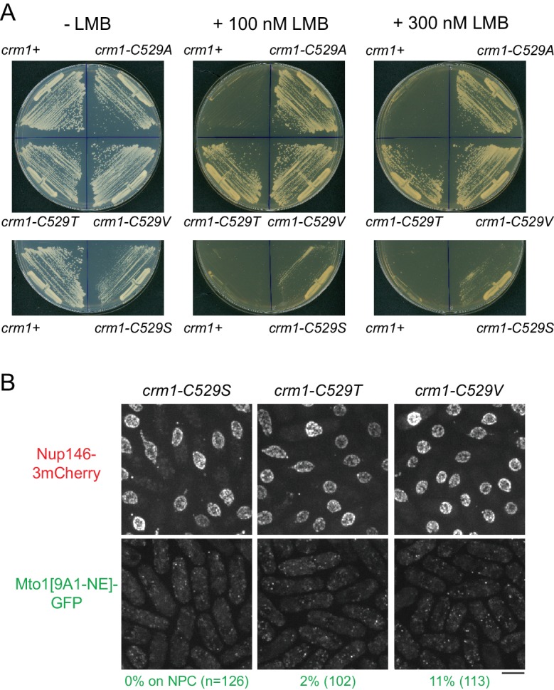 Figure 3—figure supplement 2.