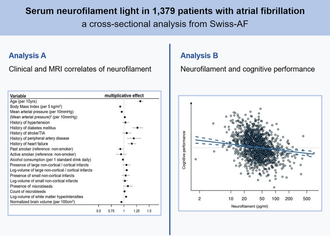 Graphical Abstract